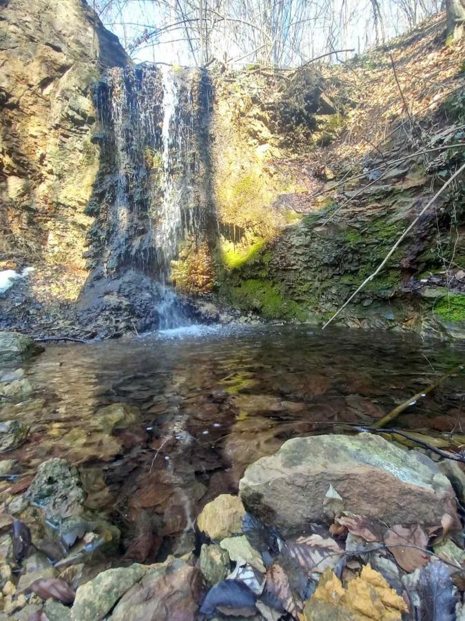 Skriveni Raj Konuk evi Gornji Milanovac Dış mekan fotoğraf